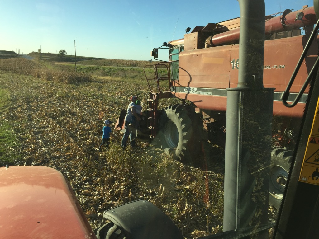 Climbing onto the combine during corn harvest