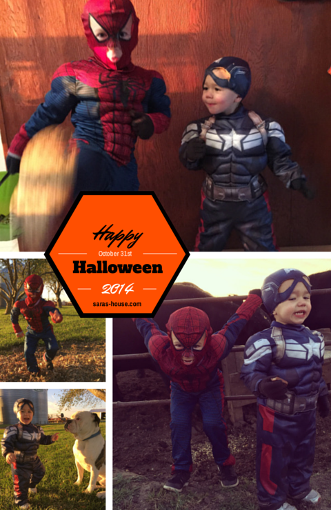 Happy Halloween 2014-www.saras-house.com
