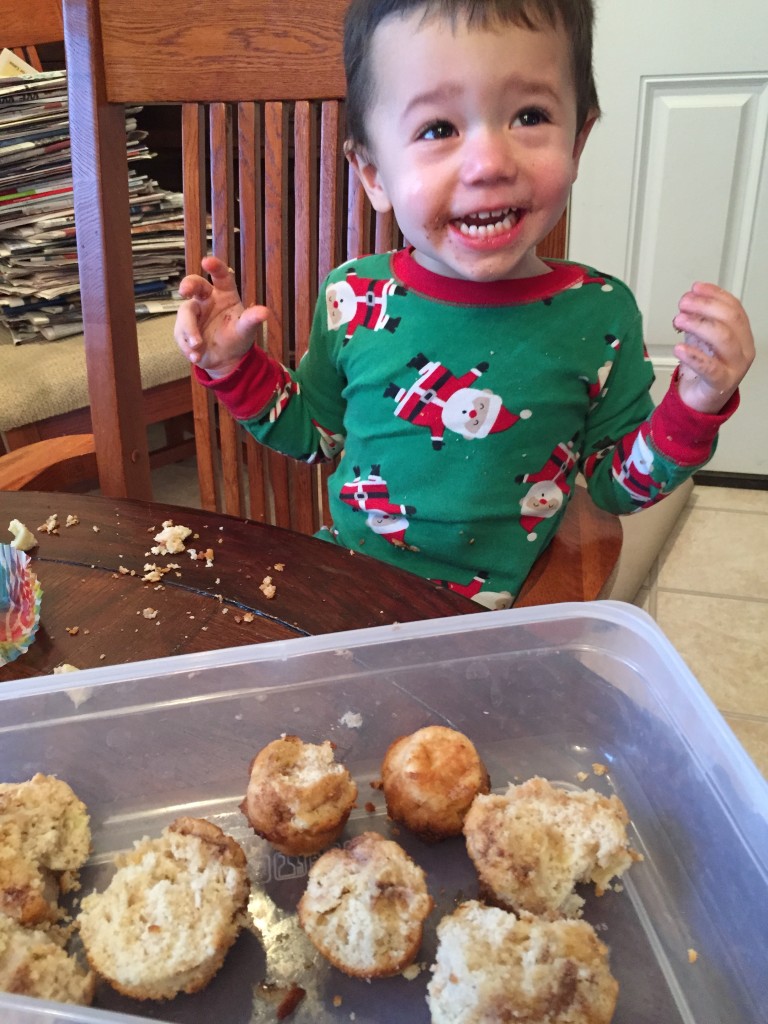 Kid-Friendly Muffins