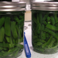 Canning Green Beans