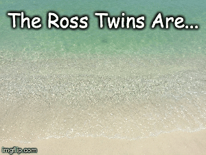 The Twins Are....