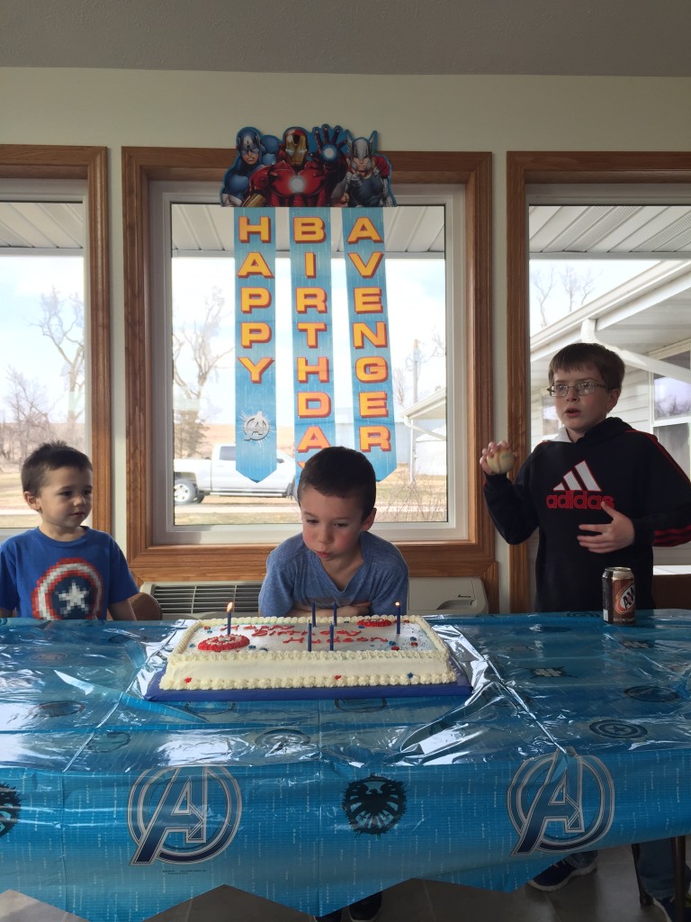 Hudson's 6th Birthday Party