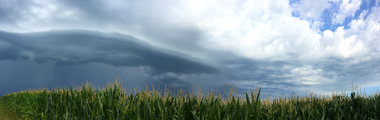 Storm Clouds and Field Corn at www.saras-house.com